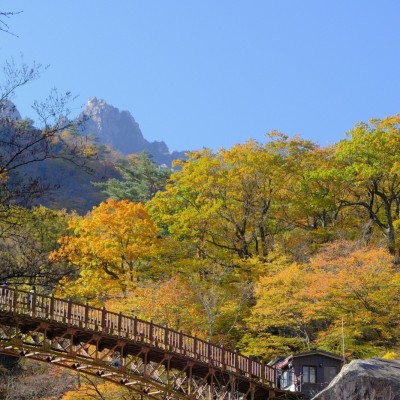 대한민국의 산, 자연이 선물한 가장 아름다운 여행지